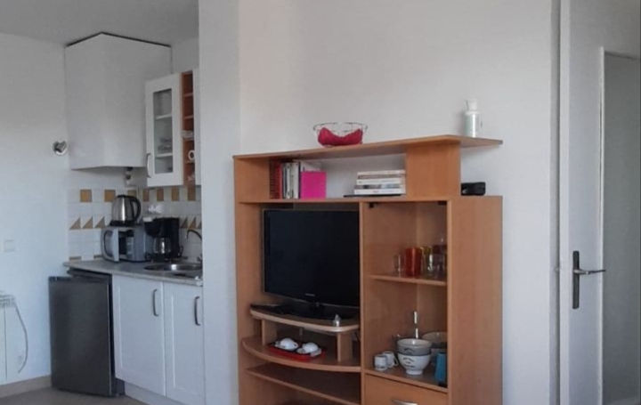 Studio LE GRAU-DU-ROI (30240)  21 m2 535 € 