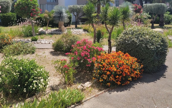 Studio LE GRAU-DU-ROI (30240)  21 m2 535 € 