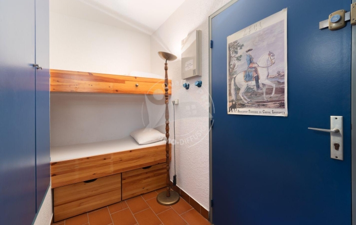 Studio LE GRAU-DU-ROI (30240)  28 m2 294 € 