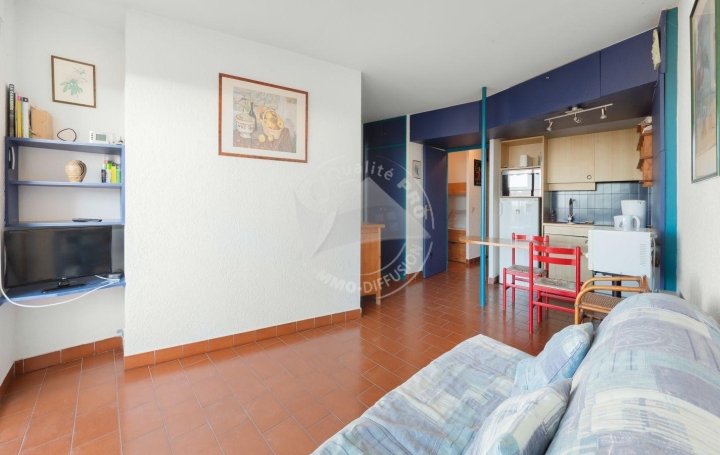 2 Pièces LE GRAU-DU-ROI (30240)  40 m2 387 € 