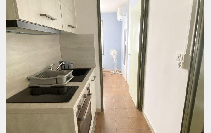 2 Pièces LE GRAU-DU-ROI (30240)  30 m2 280 € 