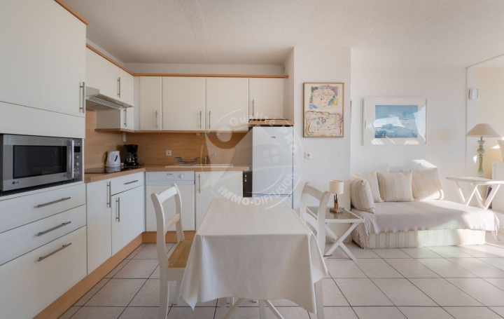 2 Pièces LE GRAU-DU-ROI (30240)  31 m2 330 € 