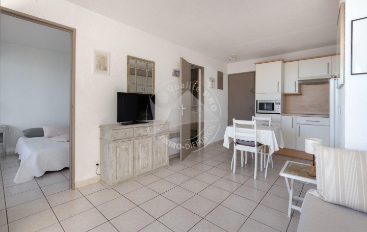 2 Pièces LE GRAU-DU-ROI (30240)  31 m2 330 € 