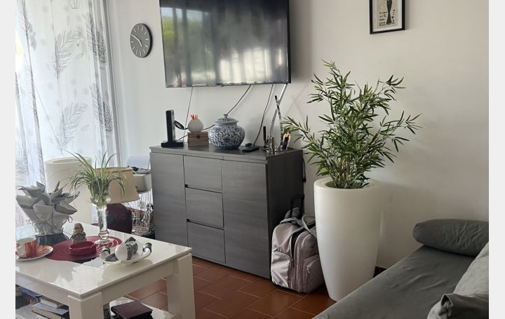 2 Pièces LE GRAU-DU-ROI (30240)  36 m2 263 250 € 