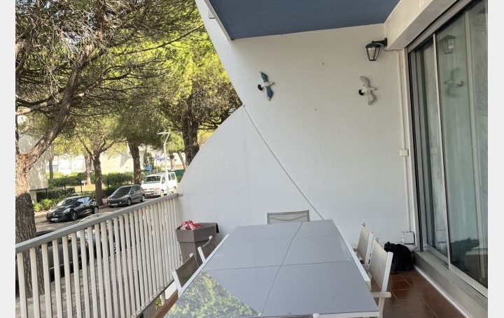 2 Pièces LE GRAU-DU-ROI (30240)  36 m2 263 250 € 