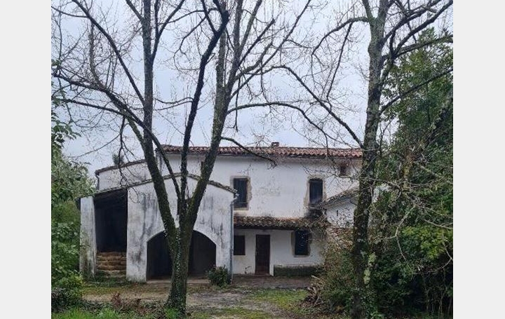 Réseau Immo-diffusion : Mas  SAINT-JEAN-DU-GARD  130 m2 282 000 € 