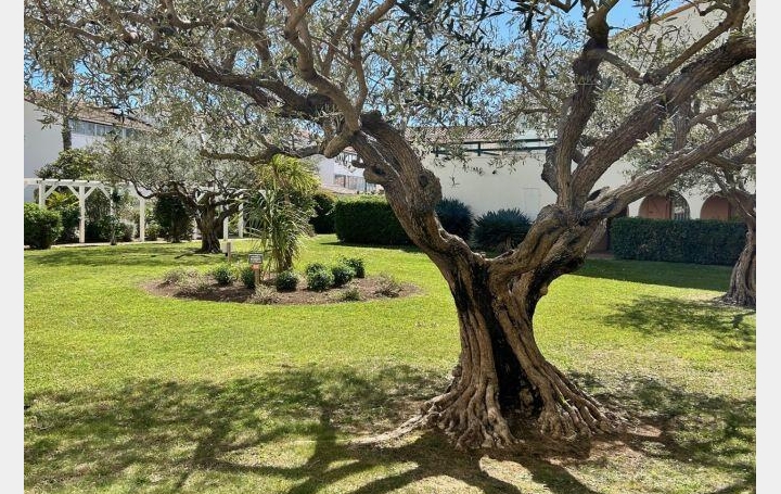 2 Pièces LE GRAU-DU-ROI (30240)  26 m2 179 000 € 