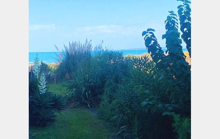 Studio LE GRAU-DU-ROI (30240)  31 m2 209 000 € 