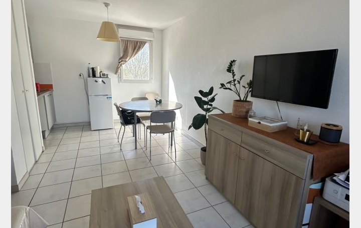 3 Pièces LE GRAU-DU-ROI (30240)  51 m2 199 280 € 