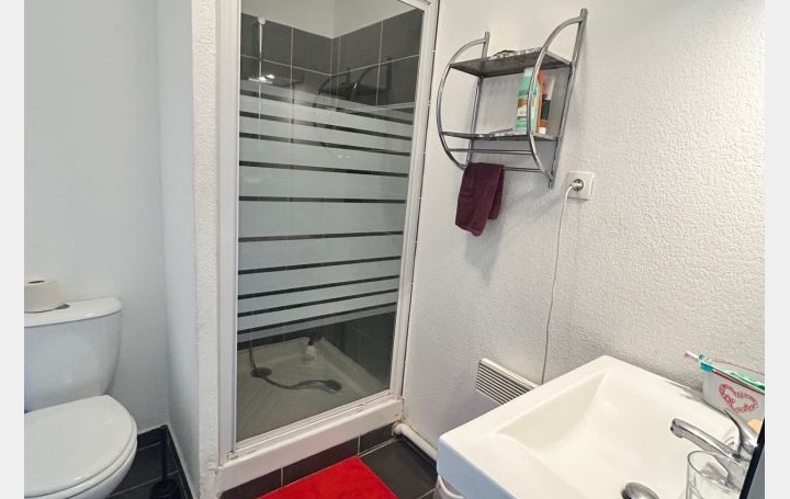 3 Pièces LE GRAU-DU-ROI (30240)  51 m2 199 280 € 