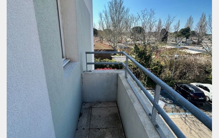 3 Pièces LE GRAU-DU-ROI (30240)  51 m2 199 280 € 