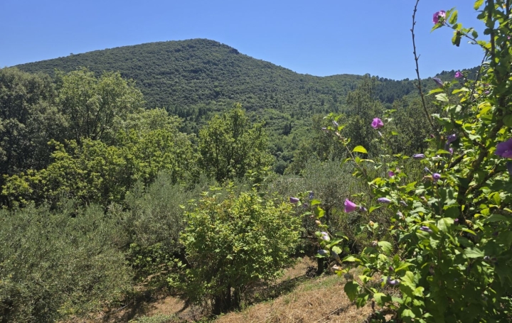 Villa SAINT-JEAN-DU-GARD (30270)  110 m2 363 000 € 