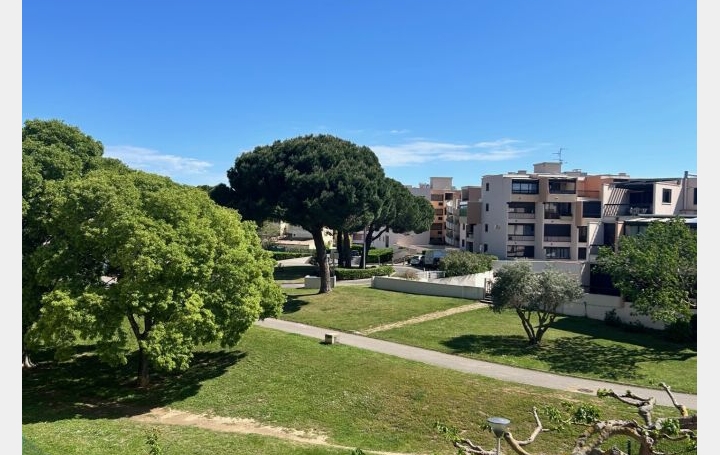 Studio LE GRAU-DU-ROI (30240)  21 m2 99 360 € 