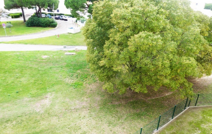 Studio LE GRAU-DU-ROI (30240)  21 m2 105 000 € 