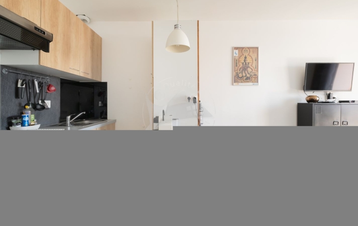 2 Pièces LE GRAU-DU-ROI (30240)  42 m2 229 900 € 