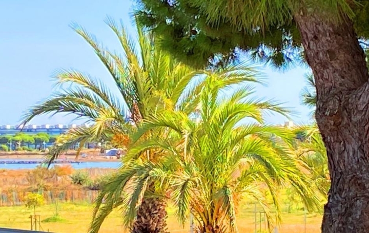 2 Pièces LE GRAU-DU-ROI (30240)  37 m2 139 000 € 