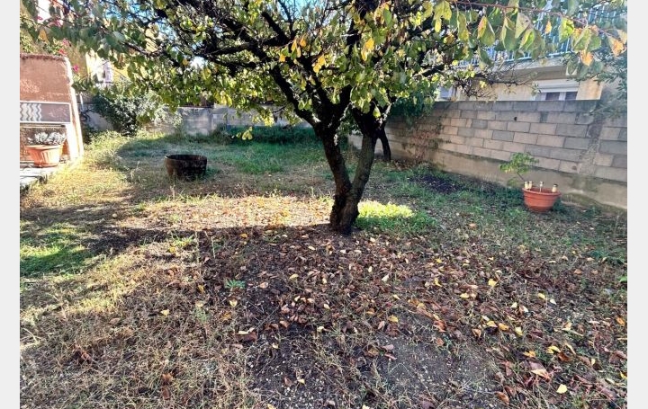 Maison LE GRAU-DU-ROI (30240)  96 m2 397 860 € 