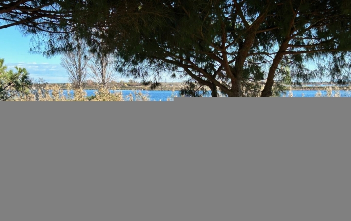 3 Pièces LE GRAU-DU-ROI (30240)  81 m2 273 000 € 