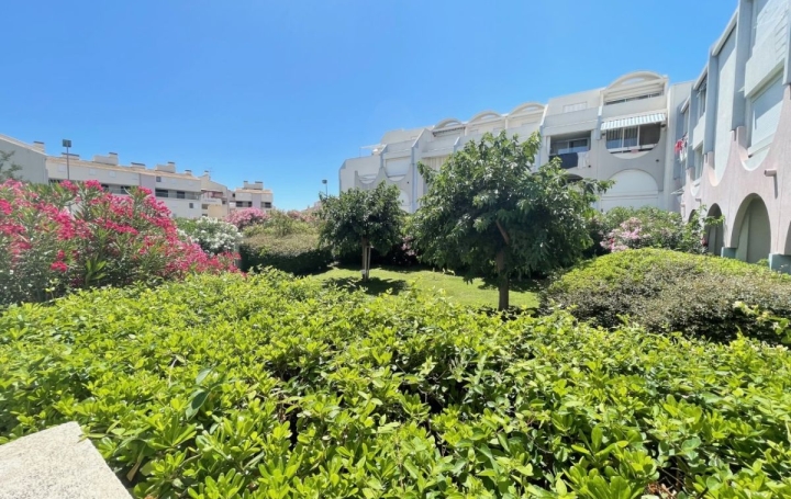 3 Pièces LE GRAU-DU-ROI (30240)  48 m2 221 130 € 