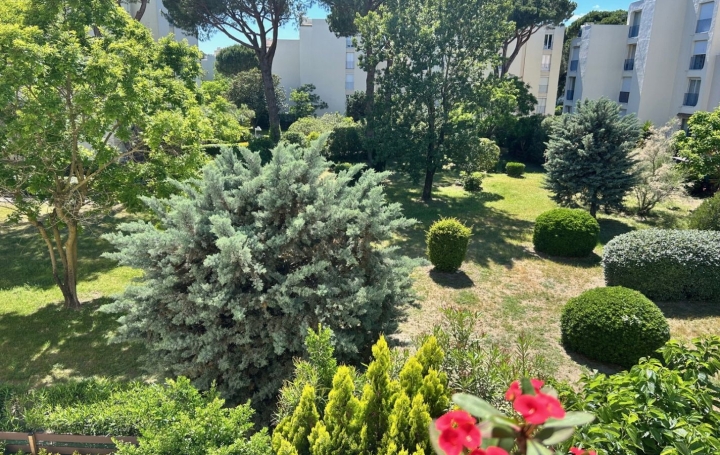 Studio LA GRANDE-MOTTE (34280)  22 m2 108 000 € 