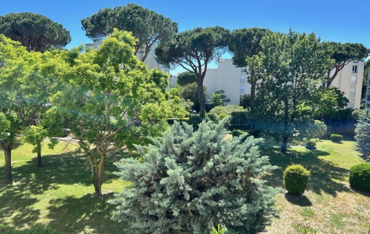 Studio LA GRANDE-MOTTE (34280)  22 m2 108 000 € 