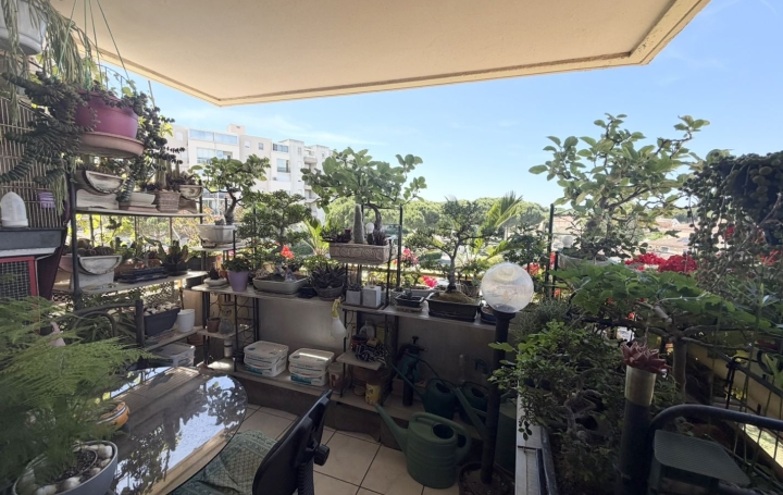 3 Pièces LE GRAU-DU-ROI (30240)  69 m2 324 500 € 