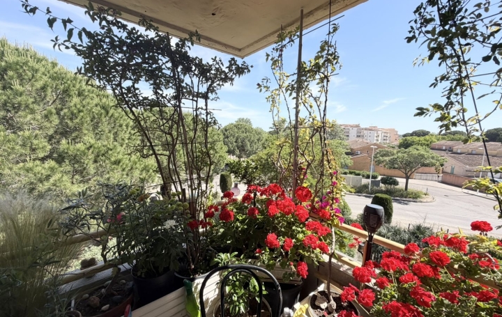 3 Pièces LE GRAU-DU-ROI (30240)  69 m2 324 500 € 