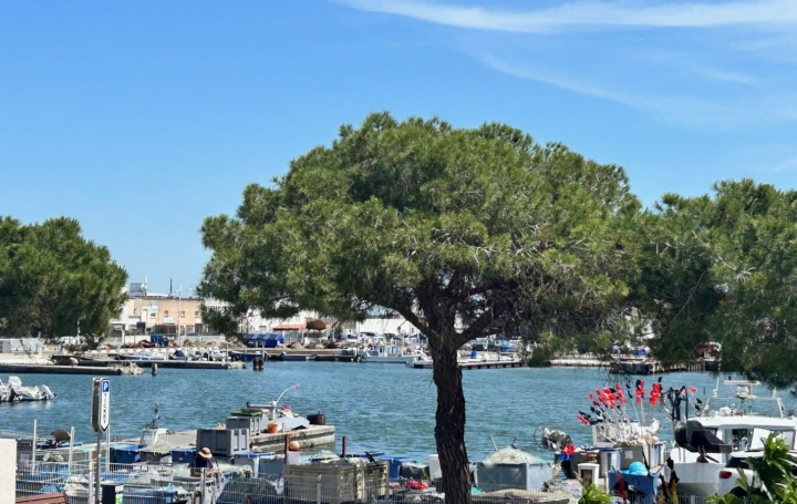 Immeuble LE GRAU-DU-ROI (30240)  144 m2 680 550 € 