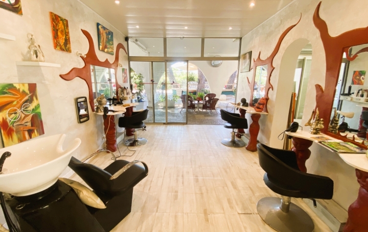 Local commercial LE GRAU-DU-ROI (30240)  41 m2 127 800 € 