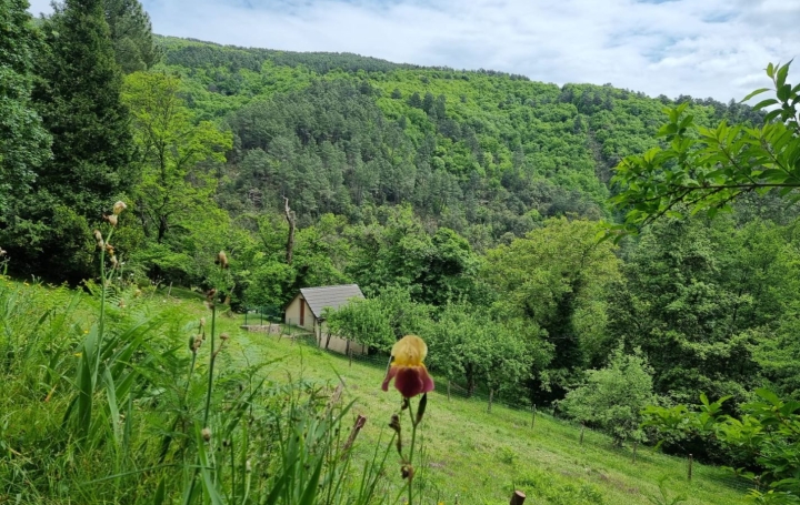 Maison SAINT-ETIENNE-VALLEE-FRANCAISE (48330)  140 m2 426 400 € 