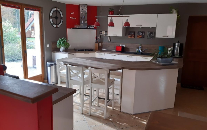 Réseau Immo-diffusion : Maison  LOMONT  245 m2 288 000 € 