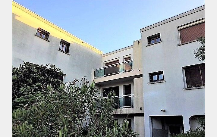 1 Pièce MONTPELLIER (34000)  30 m2 495 € 