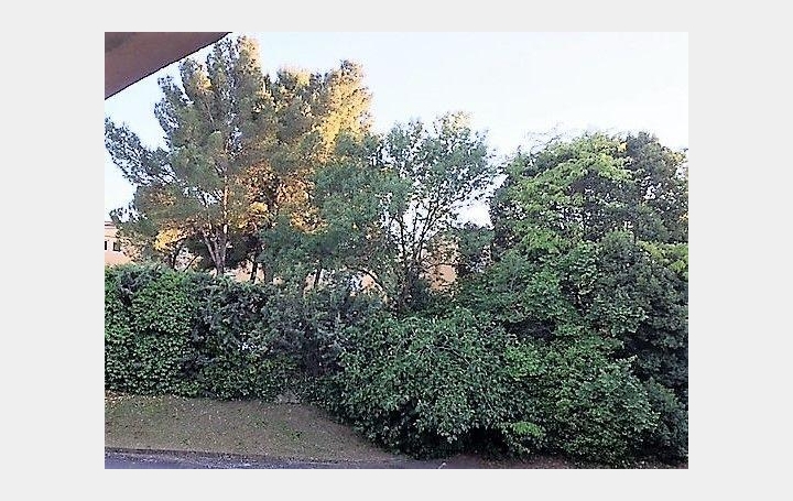 1 Pièce MONTPELLIER (34000)  30 m2 495 € 