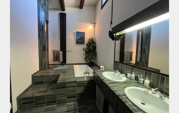 Maison REMOULINS (30210)  240 m2 320 000 € 