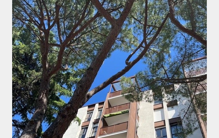 4 Pièces MONTPELLIER (34000)  81 m2 197 500 € 