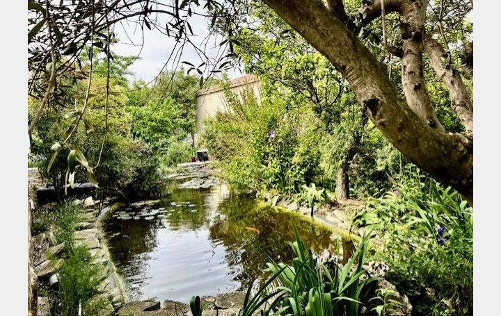 Maison MONTPELLIER (34070)  155 m2 705 000 € 