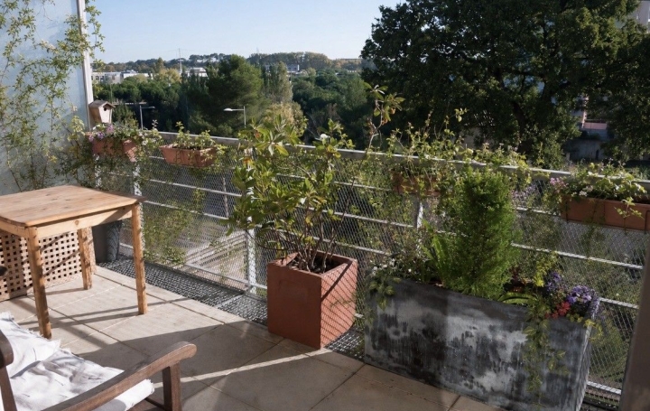 3 Pièces MONTPELLIER (34000)  66 m2 300 000 € 