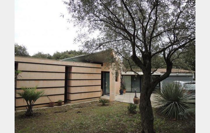 Réseau Immo-diffusion : Villa  SUSSARGUES  300 m2 640 000 € 