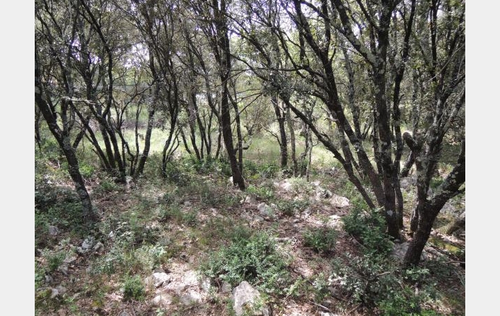 Réseau Immo-diffusion : Terrain  VACQUIERES   370 000 € 