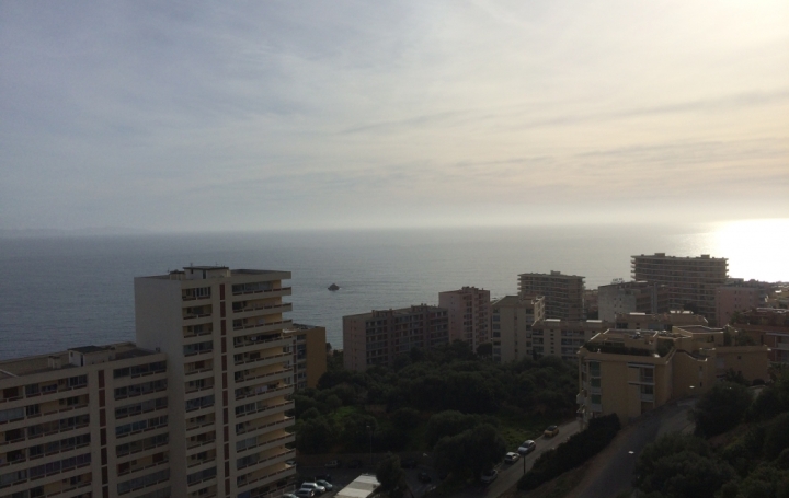 2 Pièces AJACCIO (20090)  49 m2 820 € 