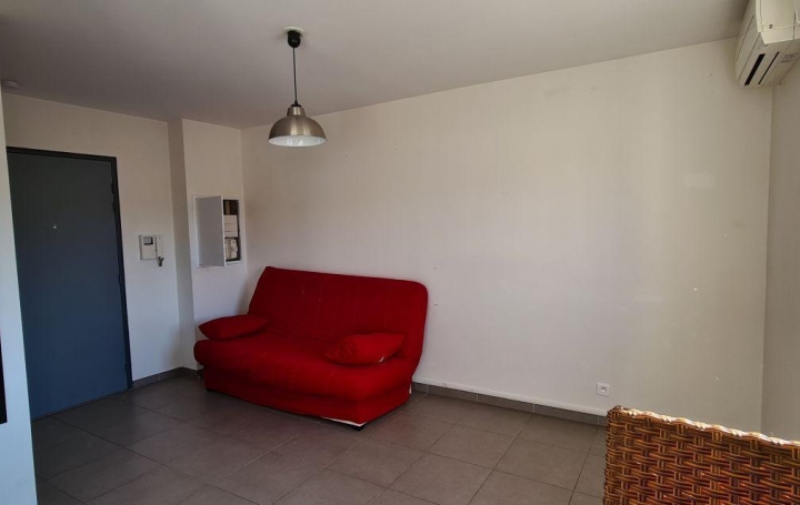 1 Pièce AJACCIO (20090)  25 m2 570 € 