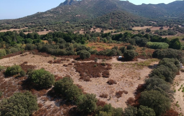 Réseau Immo-diffusion : Terrain  OCCHIATANA  2 000 m2 239 000 € 