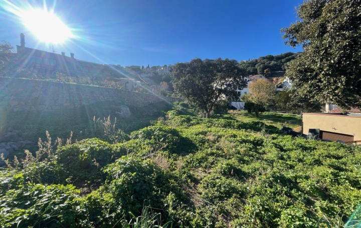 Terrain SANTA-REPARATA-DI-BALAGNA (20220)   235 000 € 