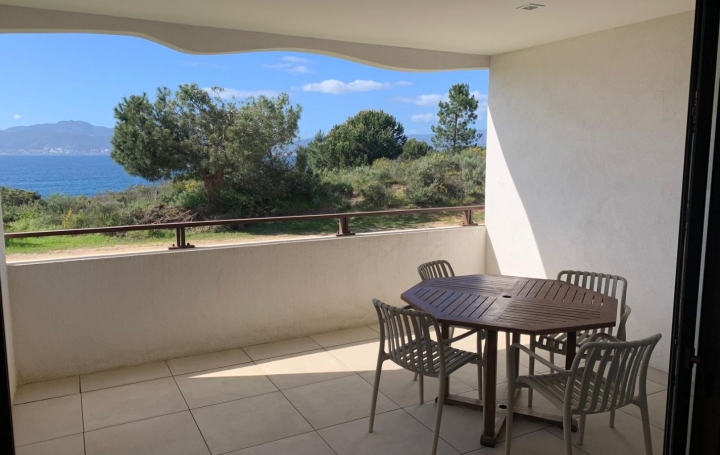 2 Pièces PIETROSELLA (20166)  42 m2 220 000 € 