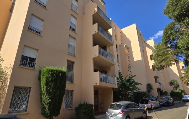 2 Pièces AJACCIO (20000)  38 m2 185 000 € 