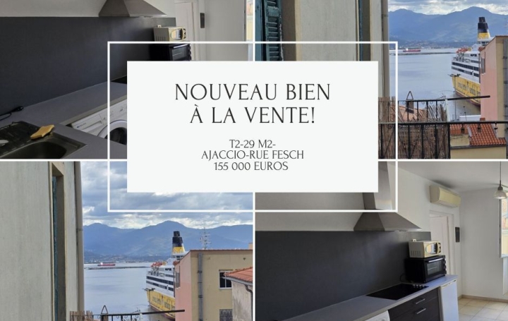 Appartement AJACCIO (20000) 29 m<sup>2</sup> 155 500 € 
