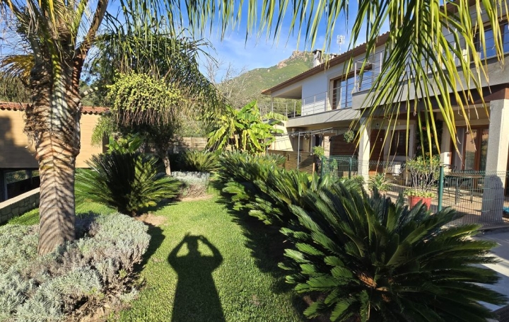 Maison BASTELICACCIA (20129)  360 m2 1 800 000 € 