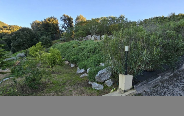 Maison BASTELICACCIA (20129)  360 m2 1 800 000 € 