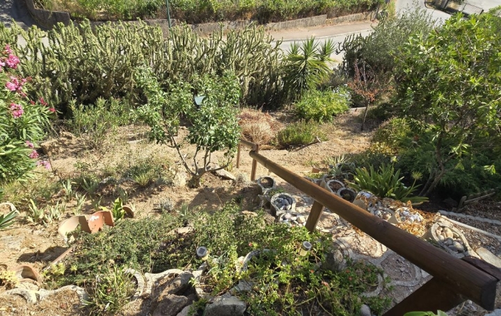 3 Pièces AFA (20167)  60 m2 265 000 € 