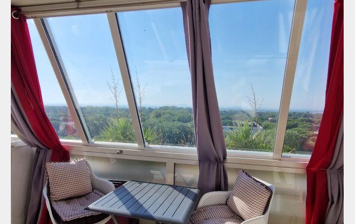 Studio LA GRANDE-MOTTE (34280)  25 m2 235 € 